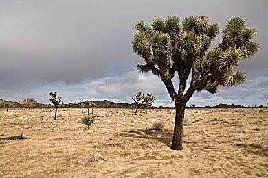 《星空》没有陆地载具 不支持钓鱼