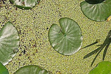 外媒称《星空》《博德之门3》容量太大 硬盘都塞满了